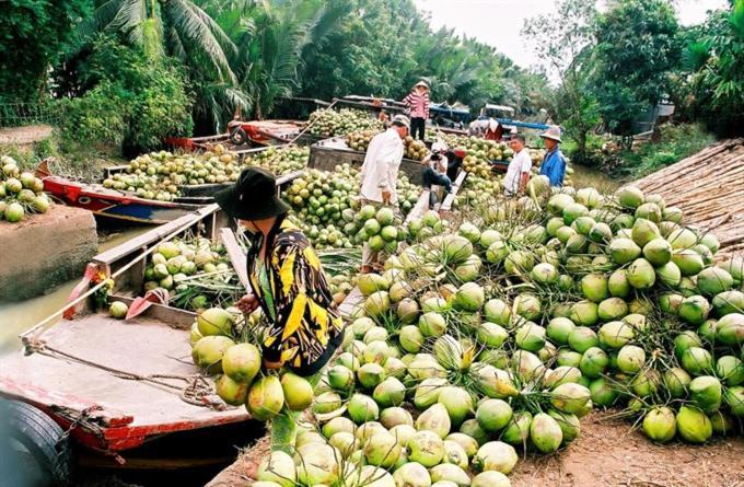Le Mekong Bleu Lägenhet Ben Tre Exteriör bild